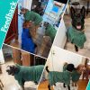 Green  Bata De Ba√±o De Microfibra Para Perro, Toalla S√∫per Absorbente Para Perro, Bata De Ba√±o Para Cachorros, Perros Medianos Y Grandes